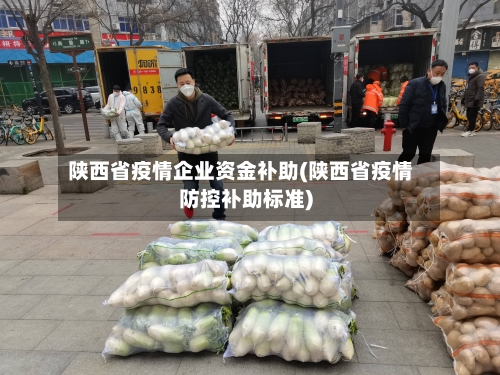 陕西省疫情企业资金补助(陕西省疫情防控补助标准)-第1张图片