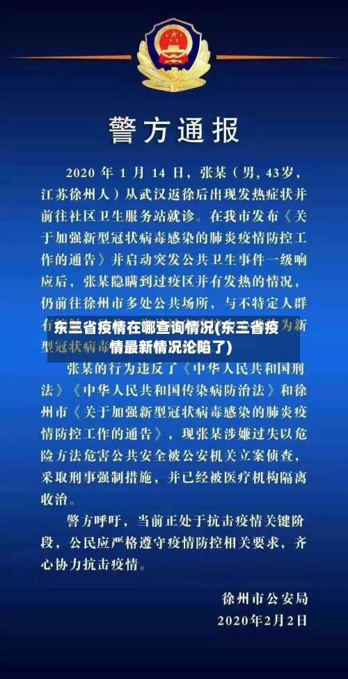 东三省疫情在哪查询情况(东三省疫情最新情况沦陷了)-第1张图片