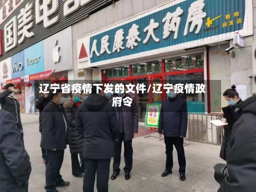 辽宁省疫情下发的文件/辽宁疫情政府令-第1张图片