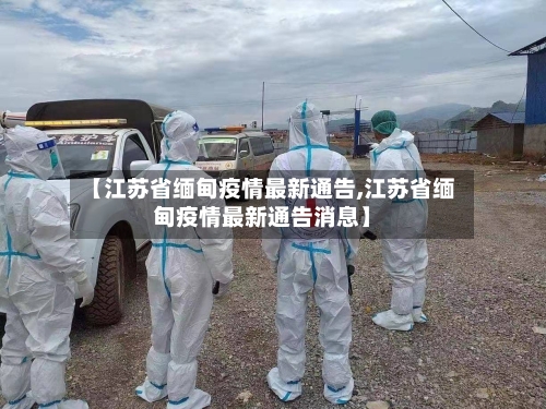 【江苏省缅甸疫情最新通告,江苏省缅甸疫情最新通告消息】-第2张图片