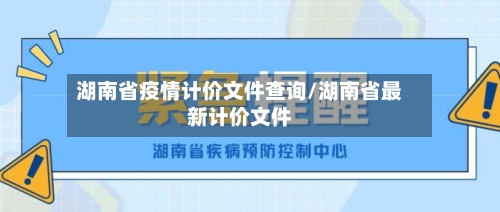 湖南省疫情计价文件查询/湖南省最新计价文件-第2张图片