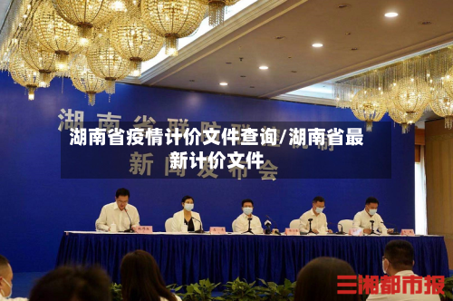 湖南省疫情计价文件查询/湖南省最新计价文件-第1张图片