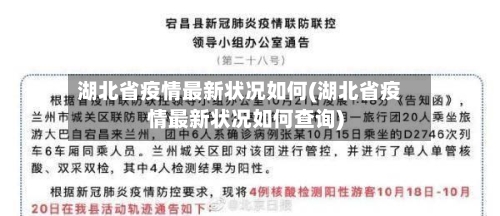 湖北省疫情最新状况如何(湖北省疫情最新状况如何查询)-第2张图片