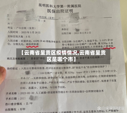 【云南省呈贡区疫情情况,云南省呈贡区是哪个市】-第2张图片
