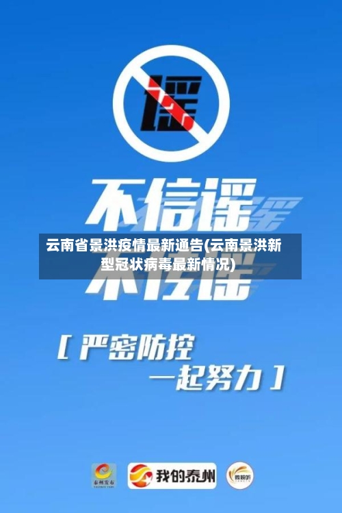 云南省景洪疫情最新通告(云南景洪新型冠状病毒最新情况)-第2张图片