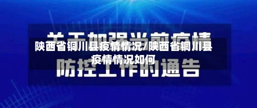 陕西省铜川县疫情情况/陕西省铜川县疫情情况如何-第3张图片