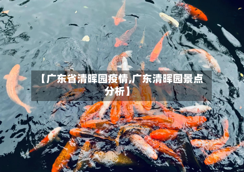 【广东省清晖园疫情,广东清晖园景点分析】-第2张图片