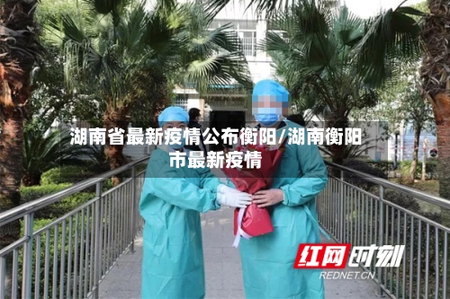 湖南省最新疫情公布衡阳/湖南衡阳市最新疫情-第1张图片