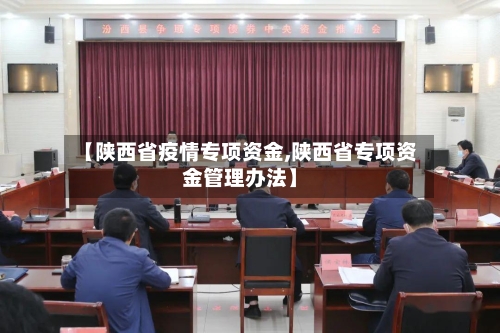 【陕西省疫情专项资金,陕西省专项资金管理办法】-第2张图片