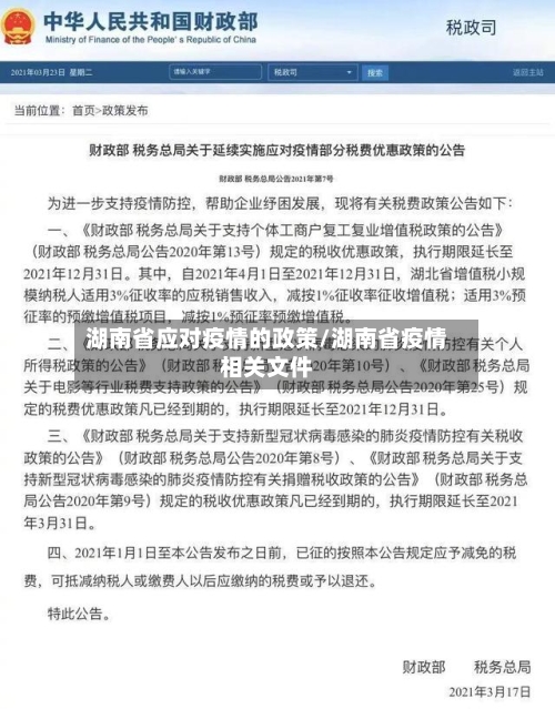 湖南省应对疫情的政策/湖南省疫情相关文件-第3张图片