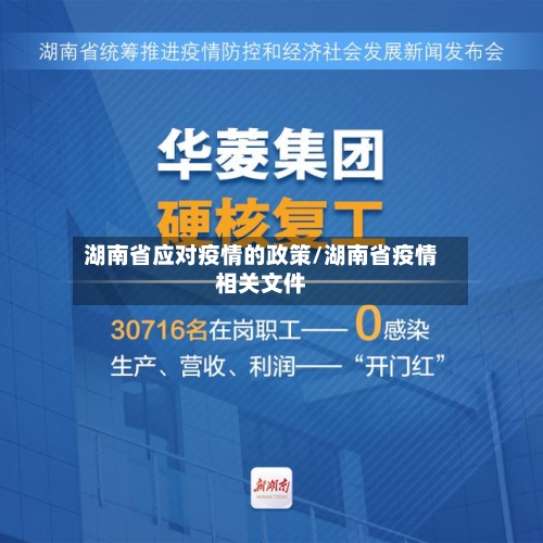 湖南省应对疫情的政策/湖南省疫情相关文件-第2张图片