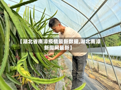 【湖北省南漳疫情最新数据,湖北南漳新闻网最新】-第2张图片