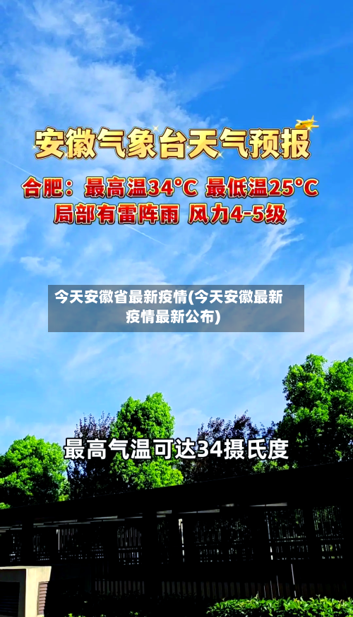 今天安徽省最新疫情(今天安徽最新疫情最新公布)-第3张图片