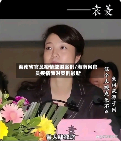海南省官员疫情敛财案例/海南省官员疫情敛财案例最新-第1张图片