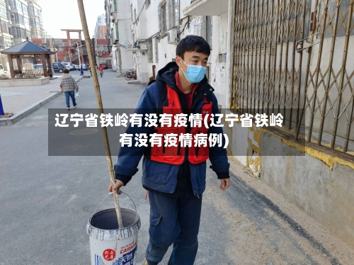 辽宁省铁岭有没有疫情(辽宁省铁岭有没有疫情病例)-第1张图片