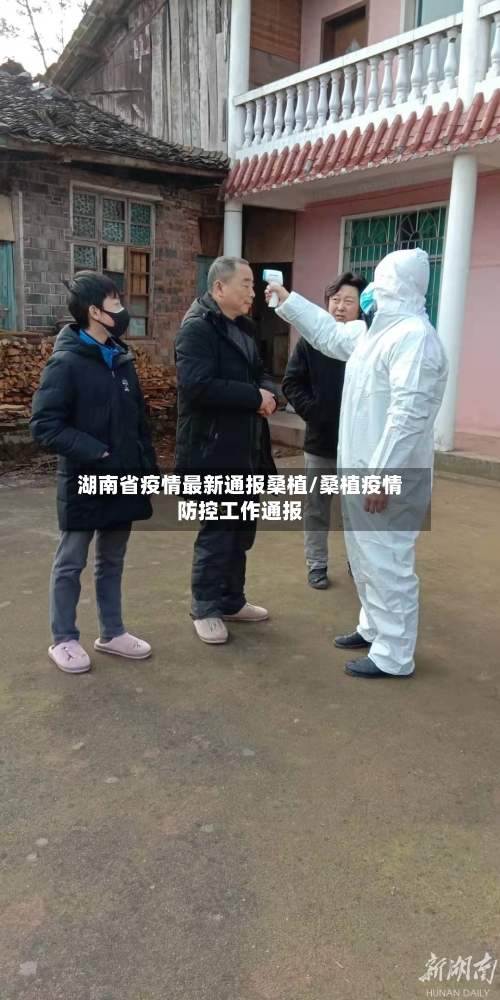 湖南省疫情最新通报桑植/桑植疫情防控工作通报-第3张图片