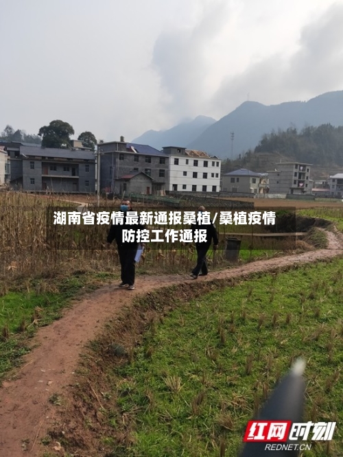 湖南省疫情最新通报桑植/桑植疫情防控工作通报-第2张图片
