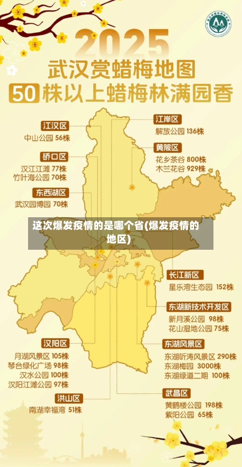 这次爆发疫情的是哪个省(爆发疫情的地区)-第1张图片
