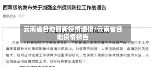 云南省各地最新疫情通报/云南省各地疫情报告-第2张图片