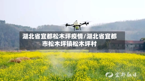 湖北省宜都松木坪疫情/湖北省宜都市松木坪镇松木坪村-第1张图片