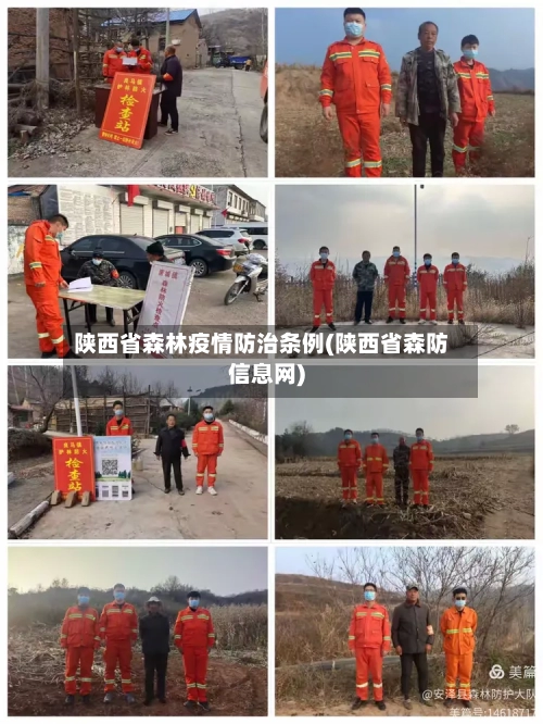 陕西省森林疫情防治条例(陕西省森防信息网)-第1张图片
