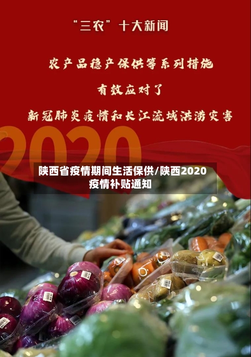 陕西省疫情期间生活保供/陕西2020疫情补贴通知-第2张图片