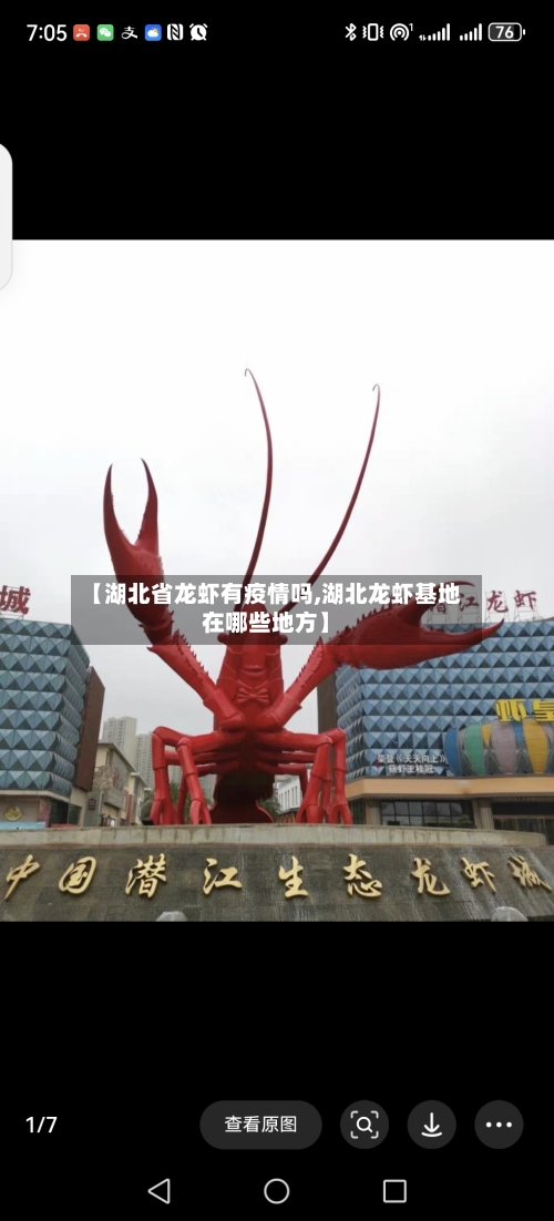 【湖北省龙虾有疫情吗,湖北龙虾基地在哪些地方】-第1张图片