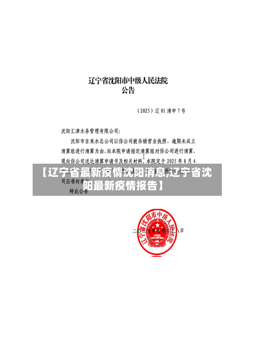 【辽宁省最新疫情沈阳消息,辽宁省沈阳最新疫情报告】-第2张图片