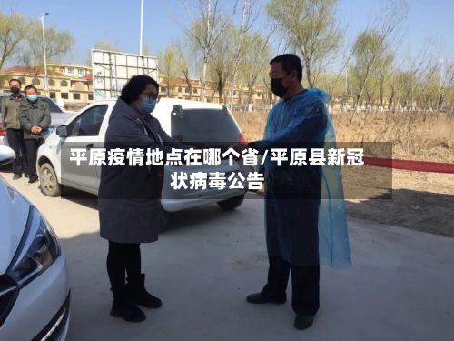 平原疫情地点在哪个省/平原县新冠状病毒公告-第1张图片