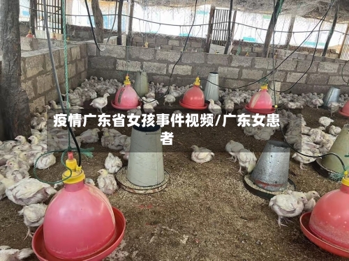 疫情广东省女孩事件视频/广东女患者-第1张图片