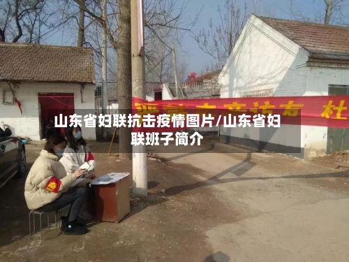 山东省妇联抗击疫情图片/山东省妇联班子简介-第1张图片