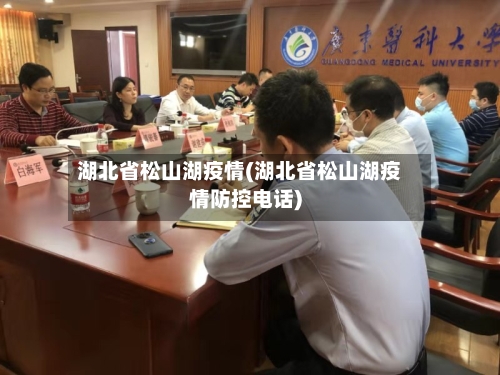 湖北省松山湖疫情(湖北省松山湖疫情防控电话)-第1张图片