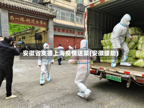 安徽省支援上海疫情送菜(安徽援助)-第1张图片