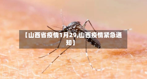【山西省疫情1月29,山西疫情紧急通知】-第1张图片