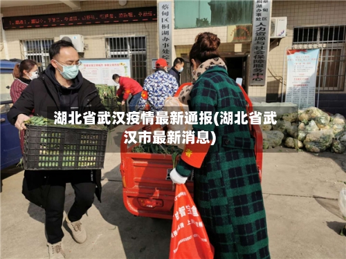湖北省武汉疫情最新通报(湖北省武汉市最新消息)-第1张图片