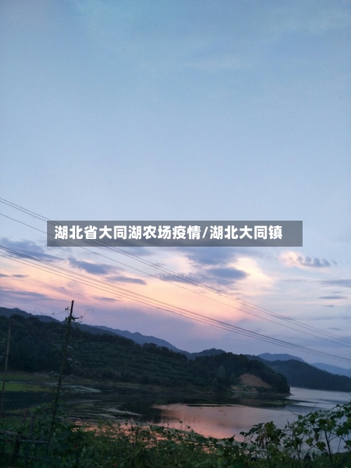 湖北省大同湖农场疫情/湖北大同镇-第3张图片