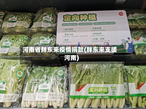 河南省胖东来疫情捐款(胖东来支援河南)-第1张图片