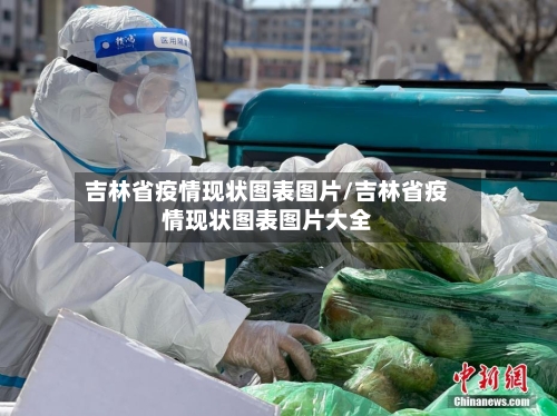 吉林省疫情现状图表图片/吉林省疫情现状图表图片大全-第3张图片