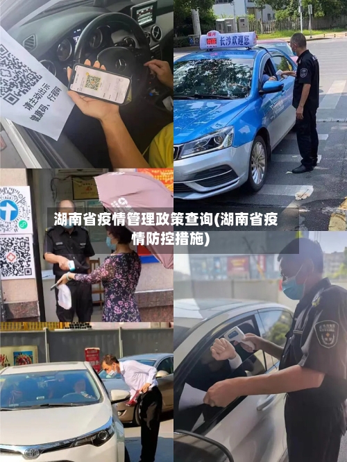 湖南省疫情管理政策查询(湖南省疫情防控措施)-第2张图片
