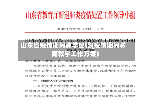 山东省疫情期间教学经验(疫情期间教育教学工作方案)-第2张图片