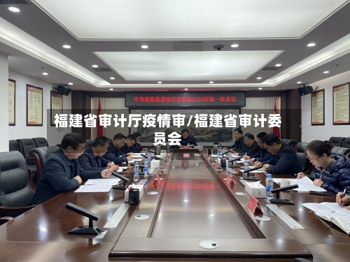 福建省审计厅疫情审/福建省审计委员会-第3张图片