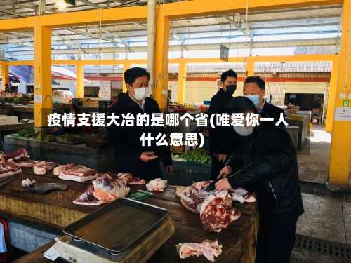 疫情支援大冶的是哪个省(唯爱你一人什么意思)-第1张图片
