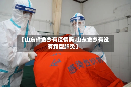 【山东省金乡有疫情吗,山东金乡有没有新型肺炎】-第1张图片