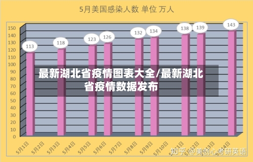 最新湖北省疫情图表大全/最新湖北省疫情数据发布-第1张图片