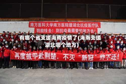 有哪个省支援海南疫情了(海南支援湖北哪个地方)-第1张图片