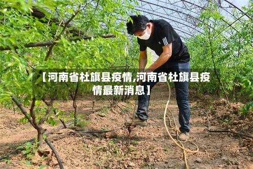 【河南省杜旗县疫情,河南省杜旗县疫情最新消息】-第3张图片