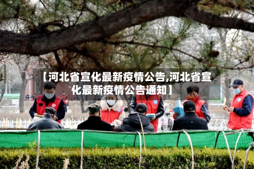 【河北省宣化最新疫情公告,河北省宣化最新疫情公告通知】-第2张图片