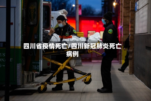 四川省疫情死亡/四川新冠肺炎死亡病例-第2张图片