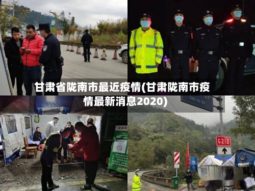 甘肃省陇南市最近疫情(甘肃陇南市疫情最新消息2020)-第1张图片