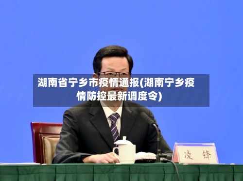 湖南省宁乡市疫情通报(湖南宁乡疫情防控最新调度令)-第1张图片